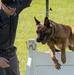 Wright-Patt Marks Police Week with K-9 Competition