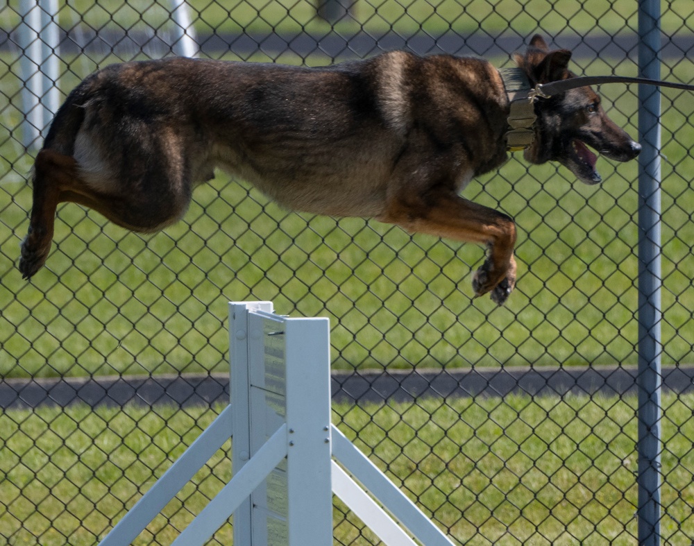 Wright-Patt Marks Police Week with K-9 Competition