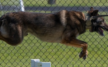 Wright-Patt Marks Police Week with K-9 Competition