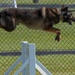 Wright-Patt Marks Police Week with K-9 Competition