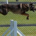 Wright-Patt Marks Police Week with K-9 Competition