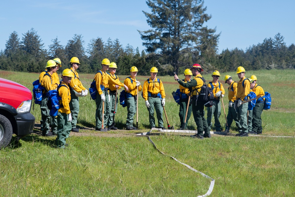 142nd Wing Airmen complete Wildland Fire Fighter training