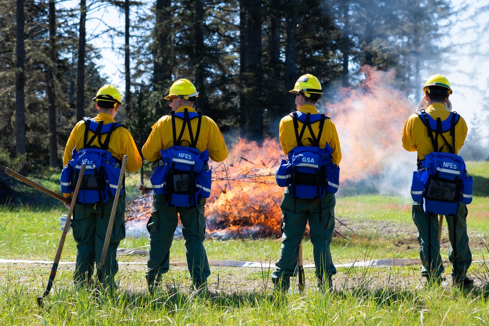 142nd Wing Airmen complete Wildland Fire Fighter training