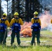 142nd Wing Airmen complete Wildland Fire Fighter training