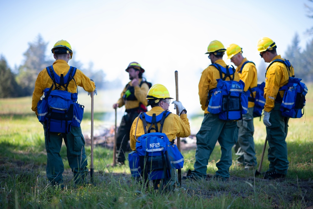 142nd Wing Airmen complete Wildland Fire Fighter training