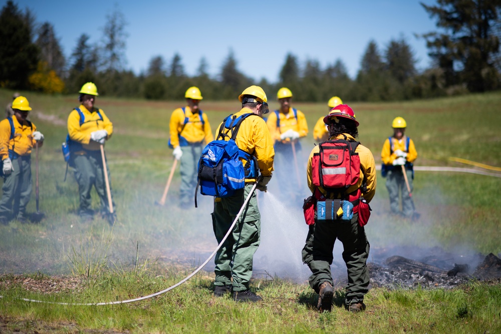 142nd Wing Airmen complete Wildland Fire Fighter training