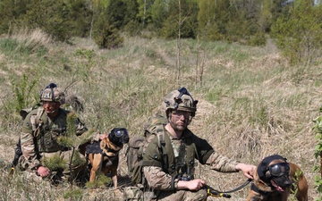 Military Working dogs, a force multiplier for ground troops