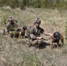 Military Working Dogs Defender 24