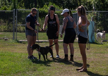 3rd Division Sustainment Brigade Plays with Pups