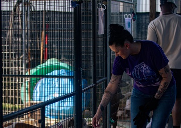 3rd Division Sustainment Brigade Plays with Pups