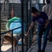 3rd Division Sustainment Brigade Plays with Pups