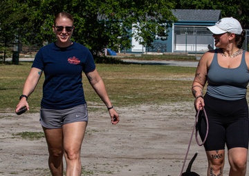 3rd Division Sustainment Brigade Plays with Pups