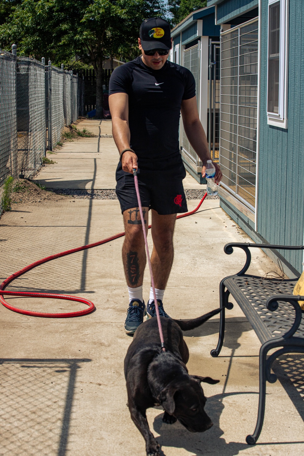 3rd Division Sustainment Brigade Plays with Pups