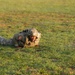 82nd Airborne Division Jumpmaster of the Year Competition