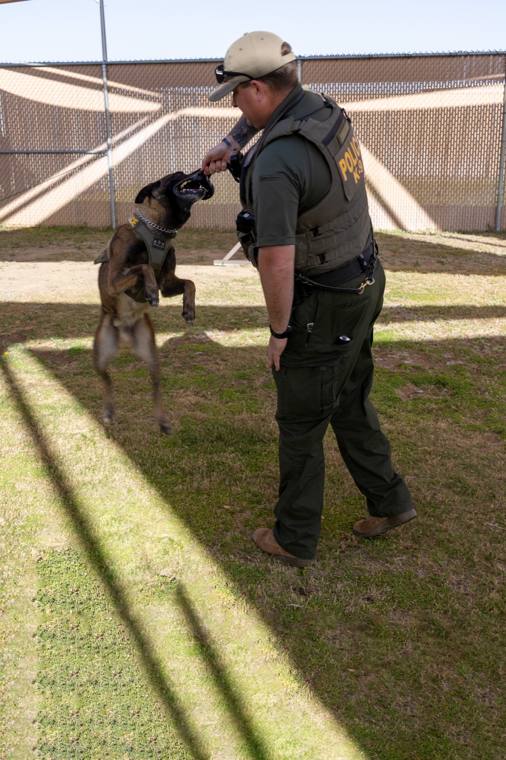 Corporal Mathew Dahl and Military Working Dog, Joe