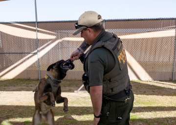 Corporal Mathew Dahl and Military Working Dog, Joe