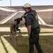 Corporal Mathew Dahl and Military Working Dog, Joe