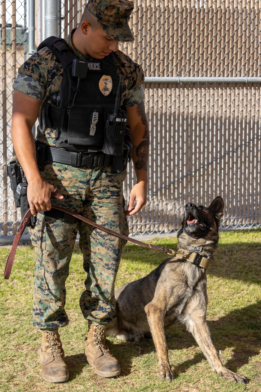 Lance Corporal Jorge Bosquez and Military Working Dog, Tigi