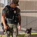 Lance Corporal Jorge Bosquez and Military Working Dog, Tigi