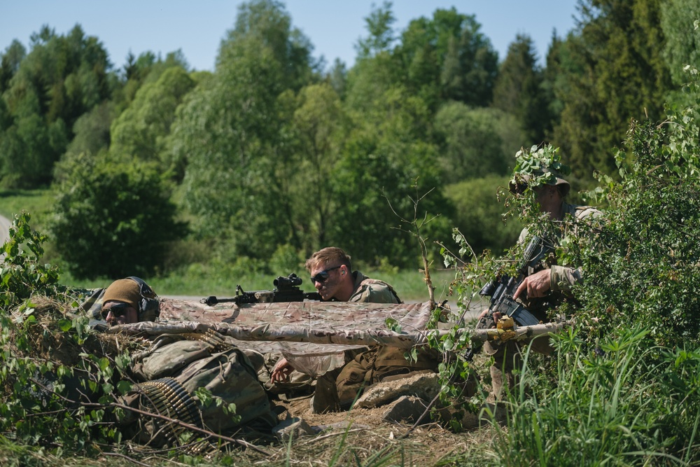 U.S. Army, Czech Soldiers participate in Culminating Training Event