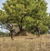 2nd Battalion, 27th Infantry Regiment, 3rd Infantry Brigade Combat Team, 25th Infantry Division conducts live fire exercise