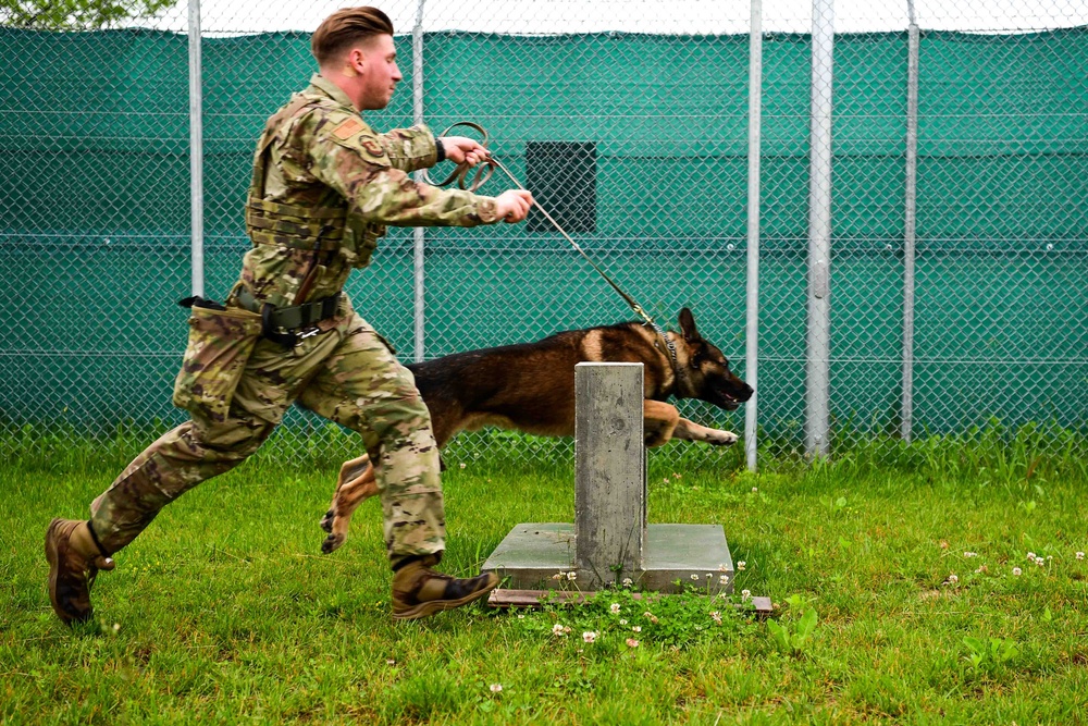 MWD Training