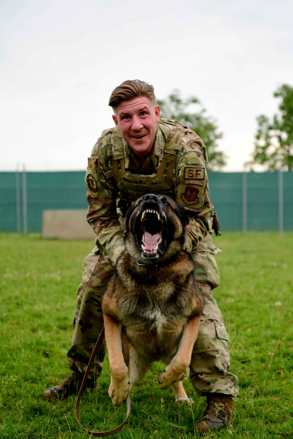 MWD Training