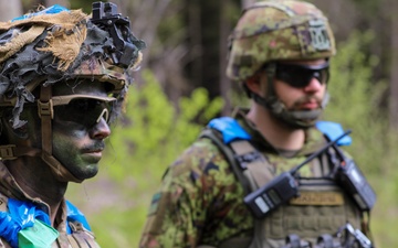 1st Bn., 187th IR train with NATO allies at Spring Storm in Estonia