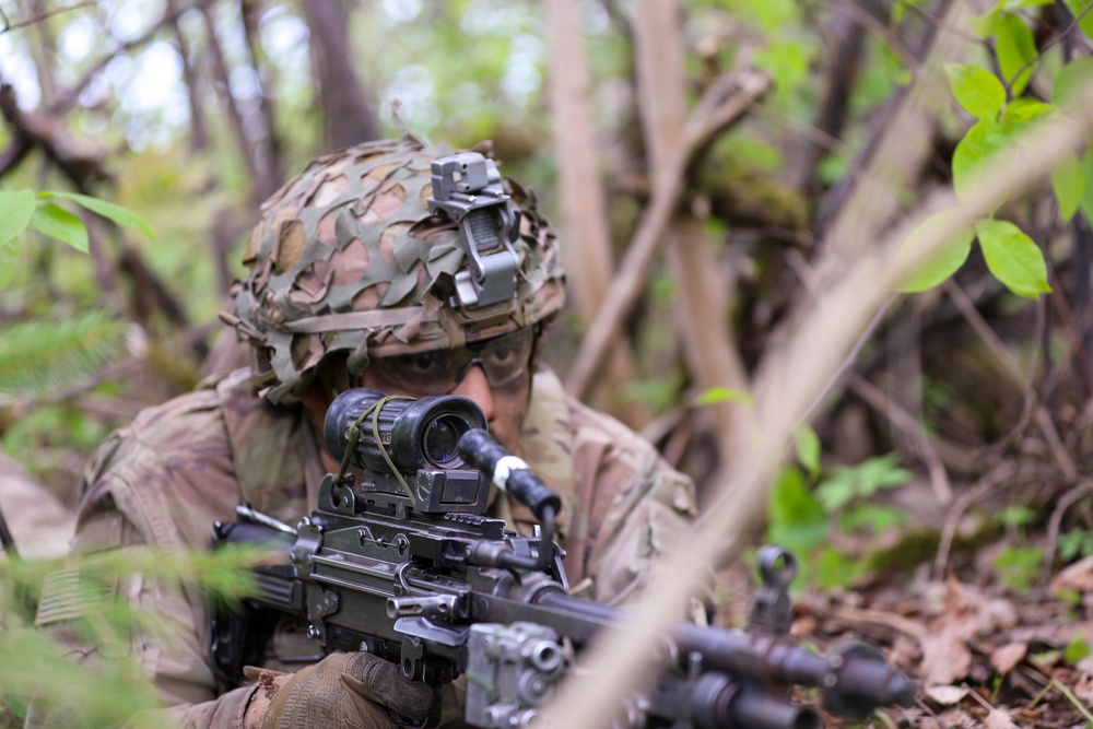 1st Bn., 187th IR train with NATO allies at Spring Storm in Estonia