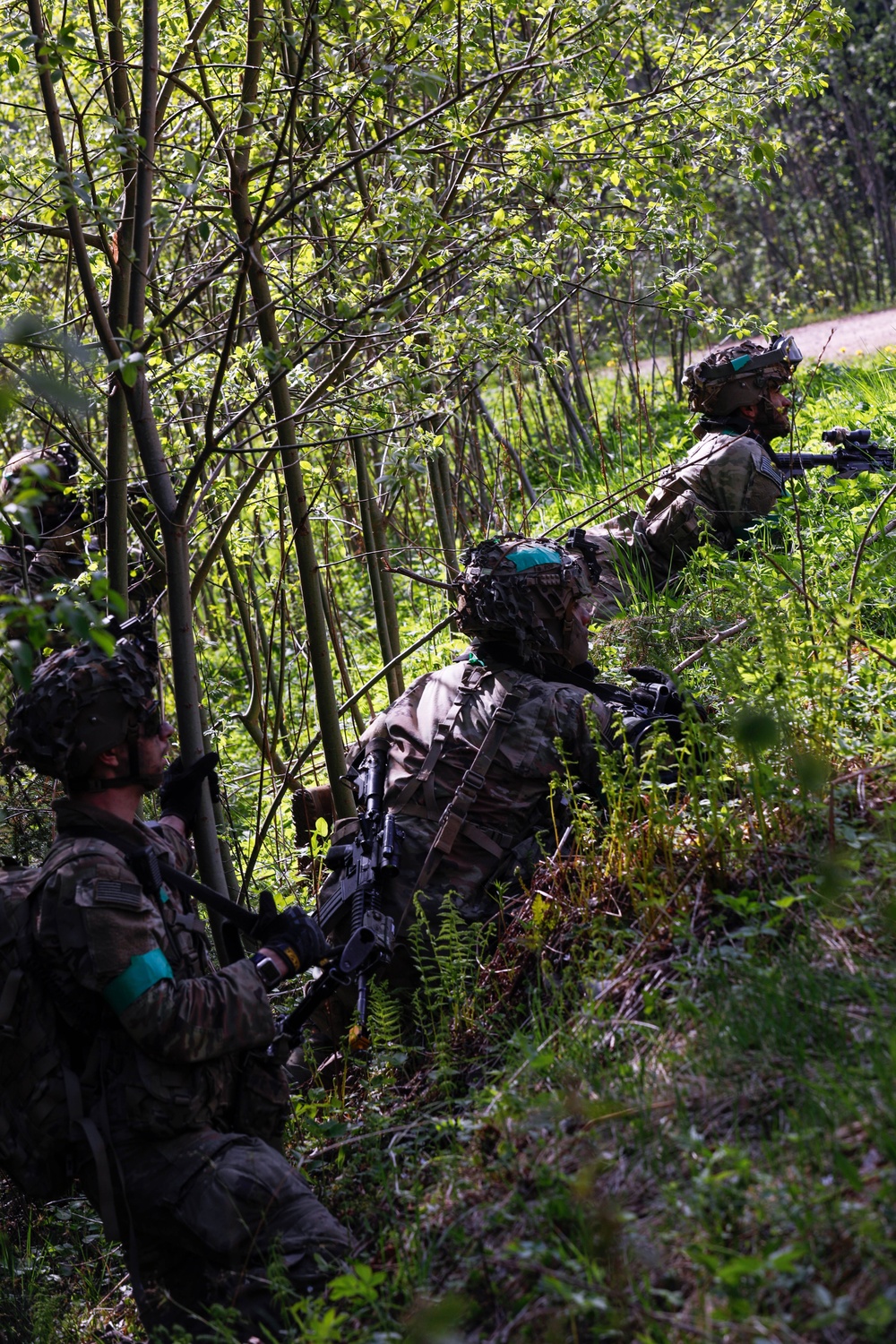 1st Bn., 187th IR train with NATO allies at Spring Storm in Estonia