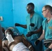 U.S. Army and Air Force and Ghanan Armed Forces medical staff participate in MEDREX AL24