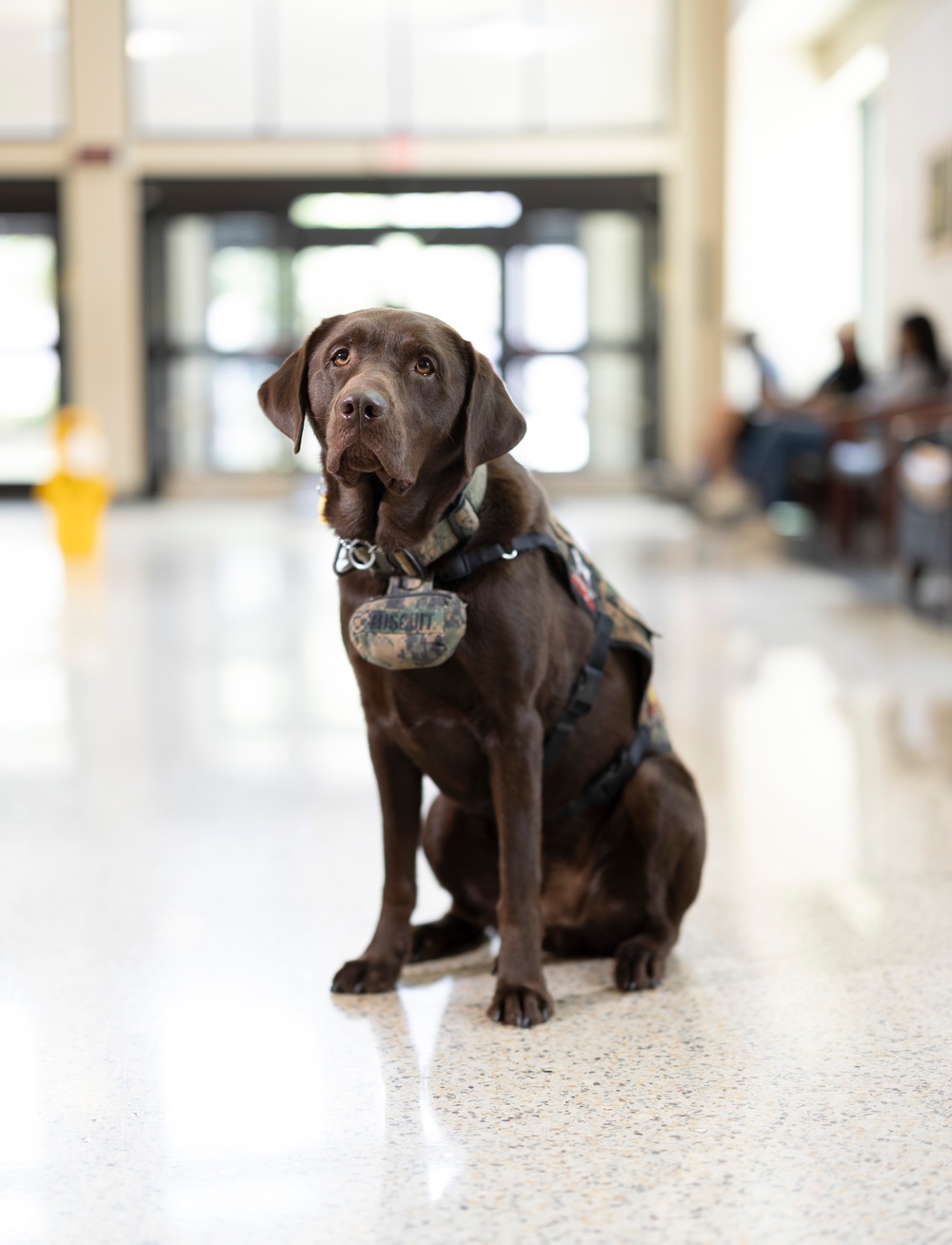 Walter Reed Observes Staff Resiliency Week