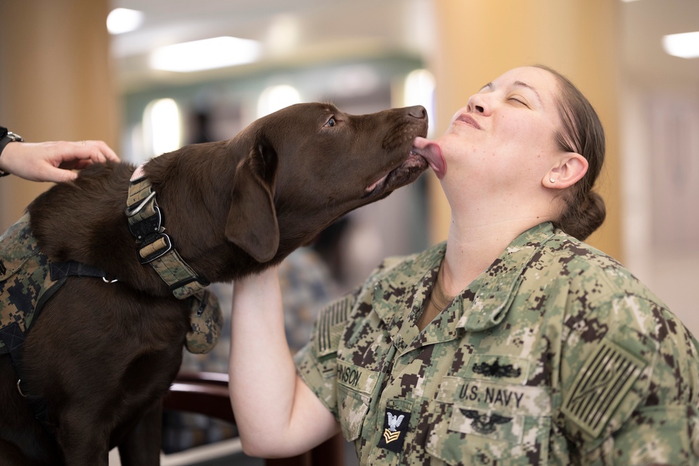 Walter Reed Observes Staff Resiliency Week