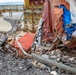 M/V DALI Wreckage