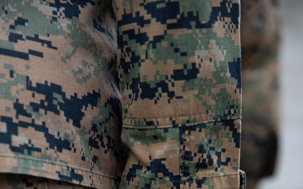 Swift Response 24: Tokens of Connection