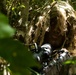 3d Recon Increases Patrolling Capabilities