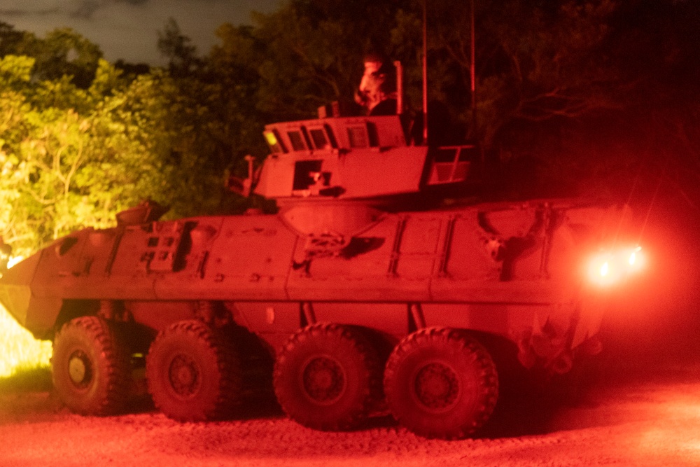 3d Recon Extract from Patrols with 4th LAR