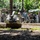 ACDC: MWSS-371 conducts EOD SMEE with SUGV 310 robots
