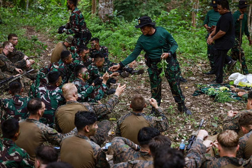 CARAT Indonesia 24: Jungle Survival