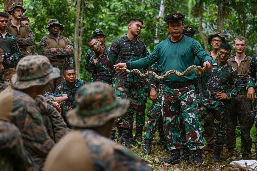 CARAT Indonesia 24: Jungle Survival