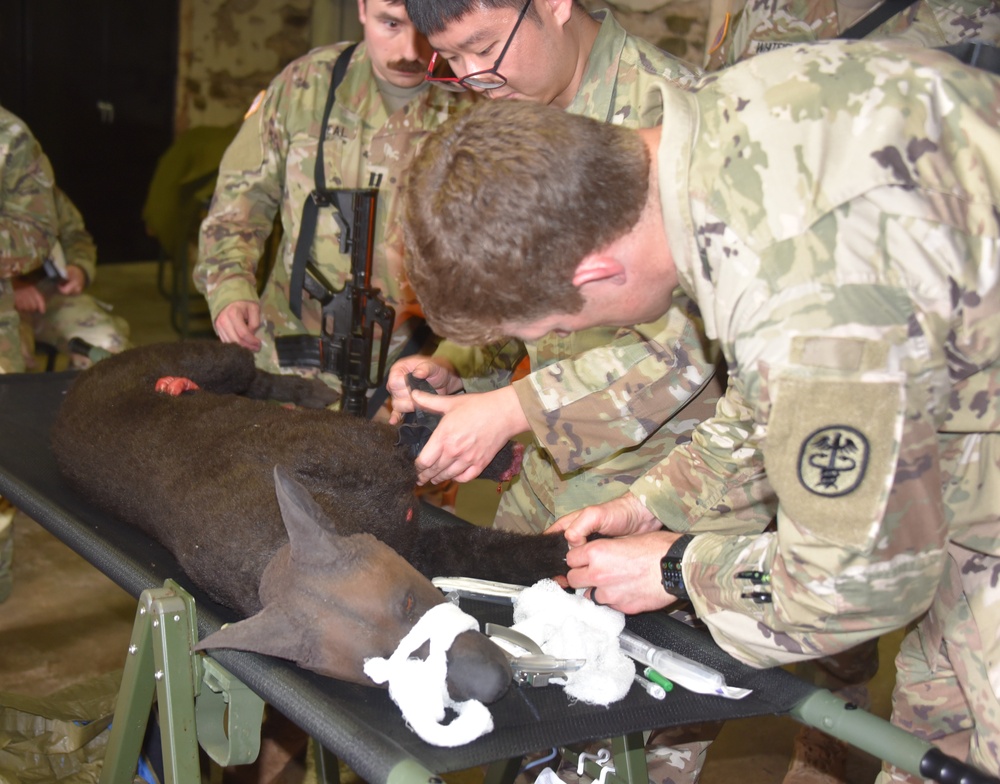 Military Medical Personnel Train for Combat Situations in Capstone Event