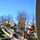 269th Combat Communications Squadron Annual Training 2024