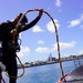 Australian AUKUS Divers Conduct Training in Pearl Harbor