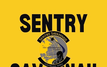 Sentry Savannah 2024 Fast Facts Carousel Graphic
