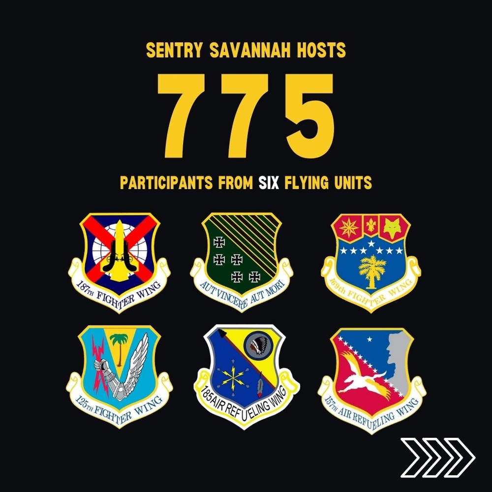 Sentry Savannah 2024 Fast Facts Carousel Graphic