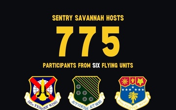 Sentry Savannah 2024 Fast Facts Carousel Graphic