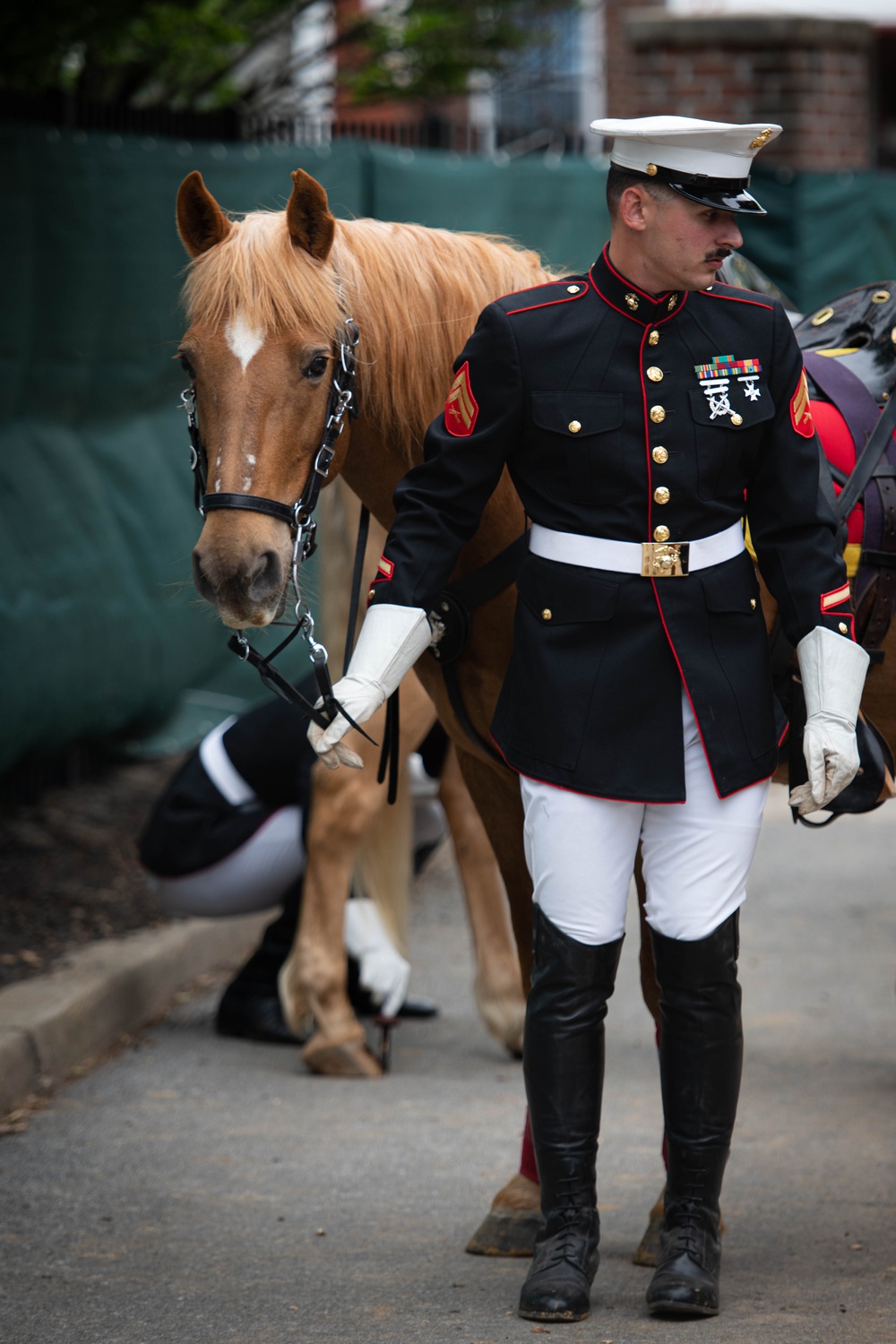 The Marine Corps Mounted Color Guard East Coast Tour