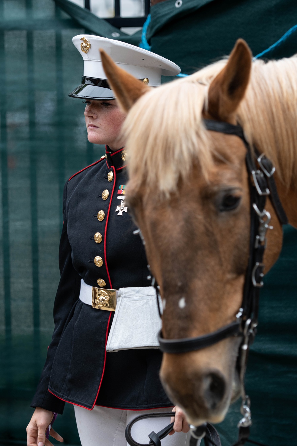 The Marine Corps Mounted Color Guard East Coast Tour