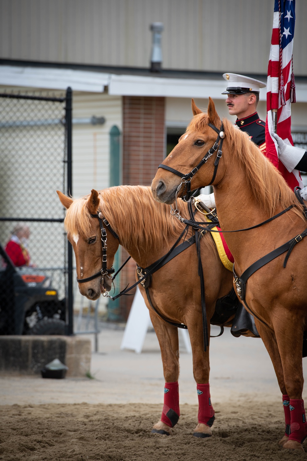 The Marine Corps Mounted Color Guard East Coast Tour