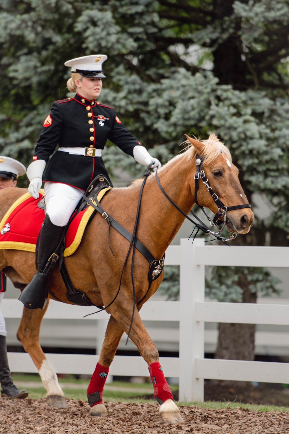 The Marine Corps Mounted Color Guard East Coast Tour